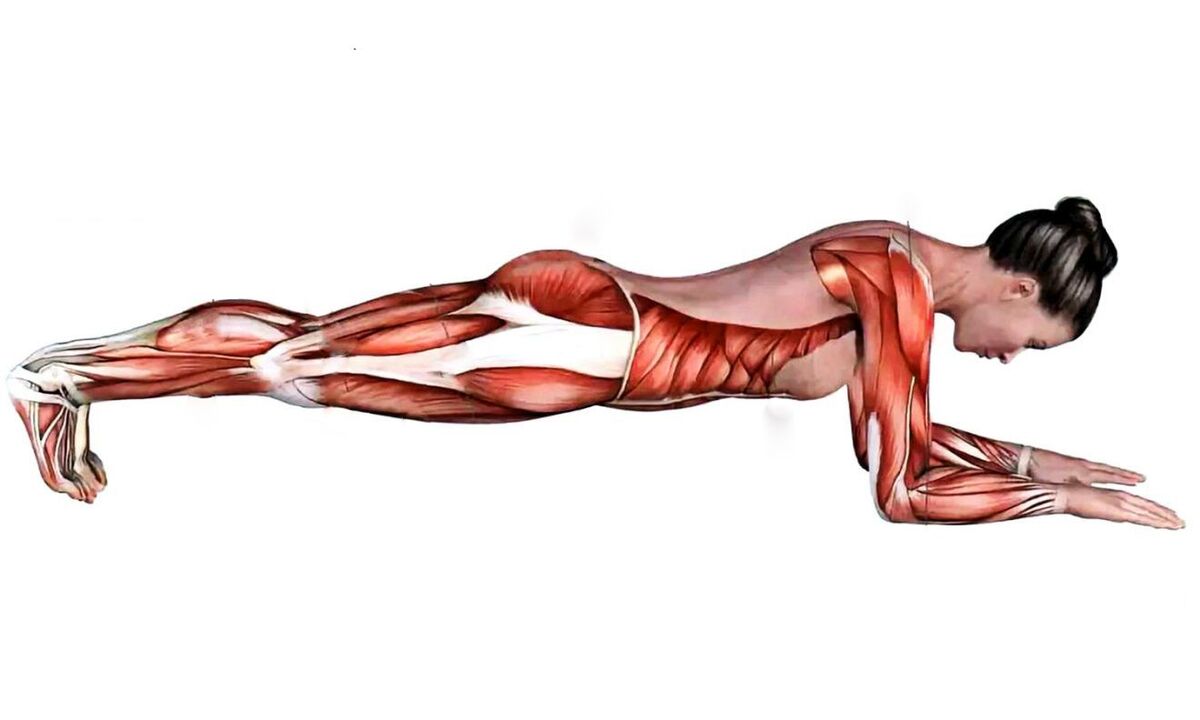 平板支撑时哪些肌肉起作用